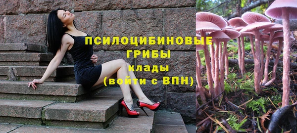 дмт Алексеевка